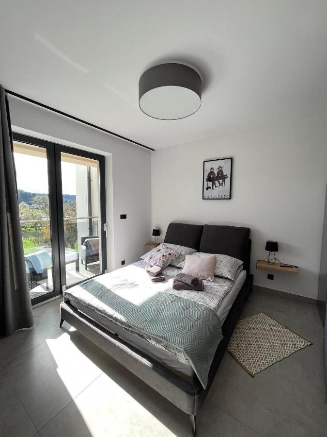 Apartament W Dolinie Sanu 莱斯科 外观 照片